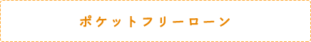 ポケットフリーローン