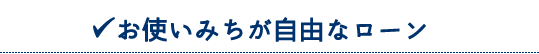 お使いみちが自由なローン